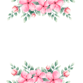 Watercolor pink flower frame png