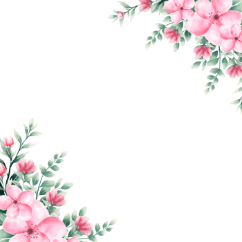 Watercolor pink flower frame png