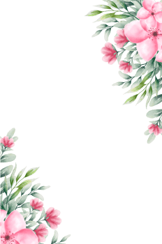 Watercolor pink flower frame png