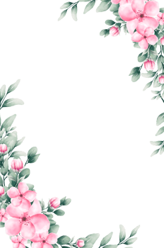 Watercolor pink flower frame png
