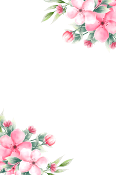 Watercolor pink flower frame png