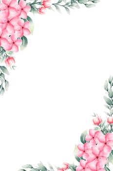 Watercolor pink flower frame png