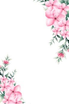 Watercolor pink flower frame png