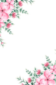 Watercolor pink flower frame png
