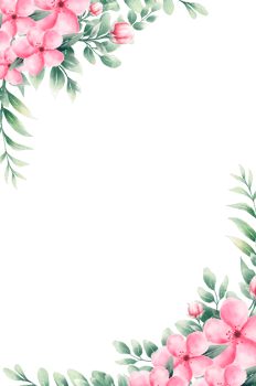 Watercolor pink flower frame png