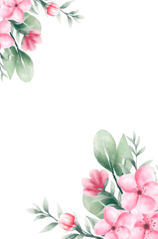 Watercolor pink flower frame png