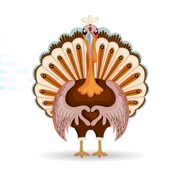poster for Thanksgiving Day character. Autumn family dinner holiday. Turkey vector
