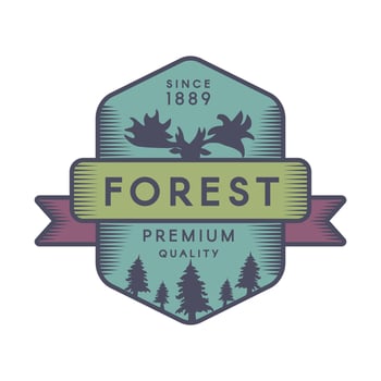 Forest color logo template vector