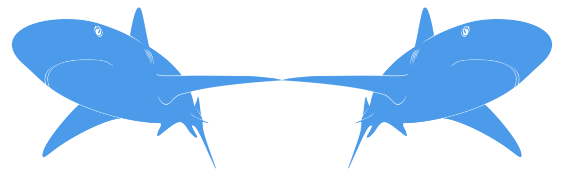 Shark Silhouette for Logo, Pictogram, Website, Art Illustration, Infographic, or Graphic Design Element. Format PNG