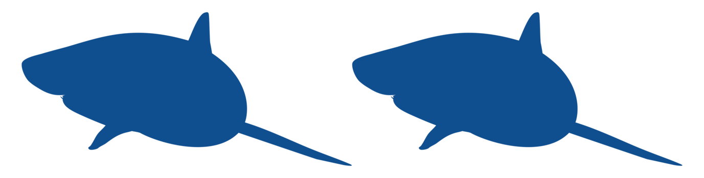 Shark Silhouette for Logo, Pictogram, Website, Art Illustration, Infographic, or Graphic Design Element. Format PNG