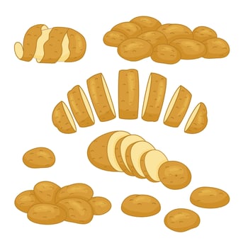 Vector illustration of Potato products set. Chips, pancakes, french fries, whole root potatoes in cartoon realistic style. Harvest vegetables icons.
