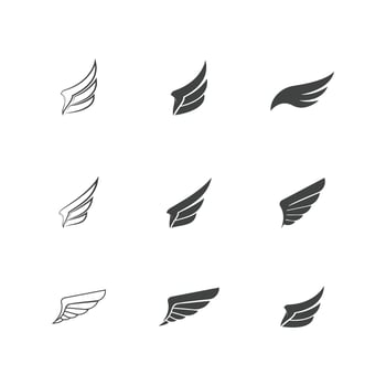 Falcon wing icon Template vector