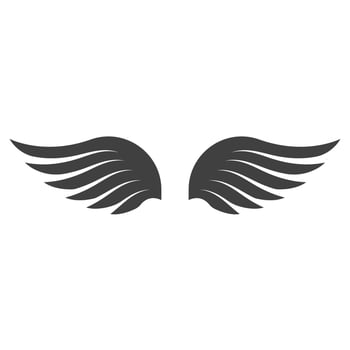 Falcon wing icon Template vector