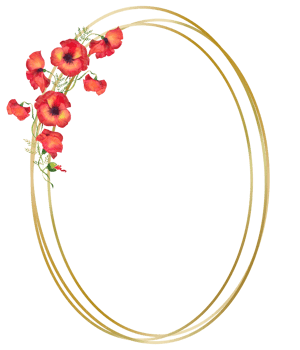 round golden frame with watercolor flowers of red poppies png