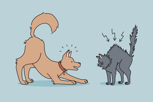 Angry cat and dog fight at home. Playful puppy and mad kitten battle feeling aggressive. Domestic animals daily life. Pets playing together. Flat vector illustration, cartoon character.