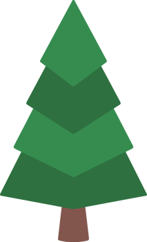 Pine Tree Watercolor Hand Drawn png