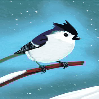 Vector realistic detailed vector illustration winter birds branches. Winter design elements Christmas, holidays. sitting branch. Winter background. Tree branch without leaves with flying birds.
