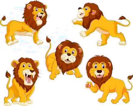 the collection of the lions with different posing vector
