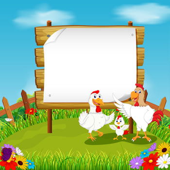 the nature view with the wooden board blank space and chicken's family playing vector