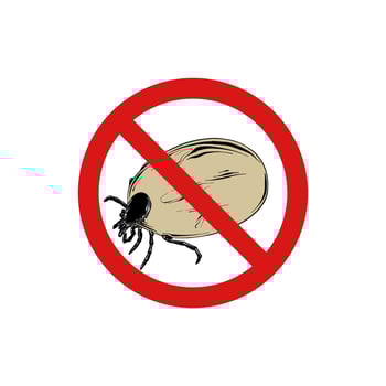 Vector hand drawn engraved isolated illustration of tick drunk, mite, parasite, spider. Prohibited insect, stop, warning, forbidden, no, ban bug sign. Detailed vintage etching style drawing.