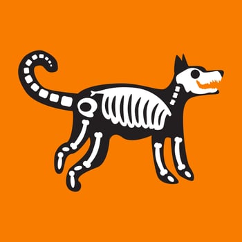 Dog skeleton halloween holiday decoration vector