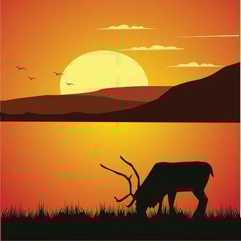 deer on landscape illustration vector