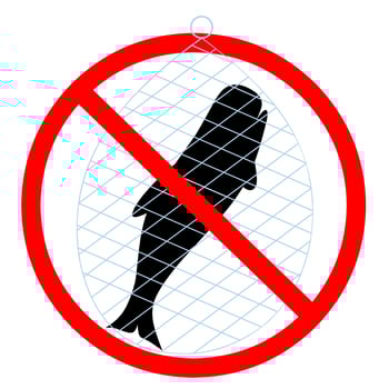 Silhouette of a whale caught in a net. The ban on whaling is marked with a red circle. Isolated on a white background. Great for posters don't hunt protected animals. Vector illustration