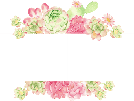 watercolor cactus and succulent bouquet arrangement banner background with copy space for text png