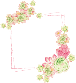 watercolor cactus and succulent square banner or invitation card background png