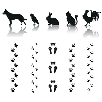 Illustration set of pets vector