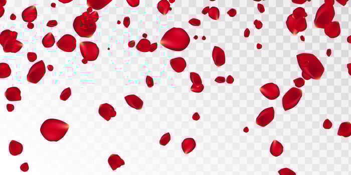 Background with red rose petals. Eps 10 vector. Falling red flower petals against pink background. Happy Valentines day card. Valentine's day background. vector