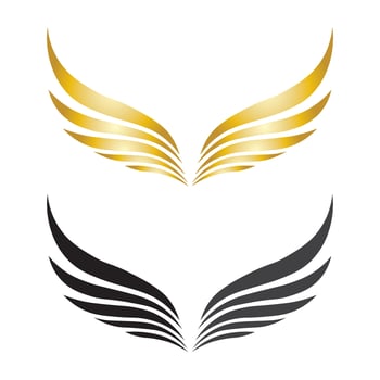 Falcon Eagle Bird Logo Template Vector Icon