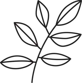 simplicity floral leaf drawing png