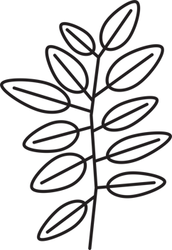 simplicity floral leaf drawing png