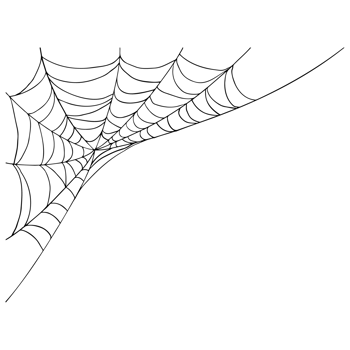 spider web for halloween and cobweb elements png