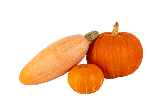 Set of three orange pumpkins, round, oval. PNG, transparent background. png