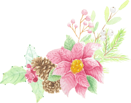 watercolor Christmas poinsettia flower bouquet png