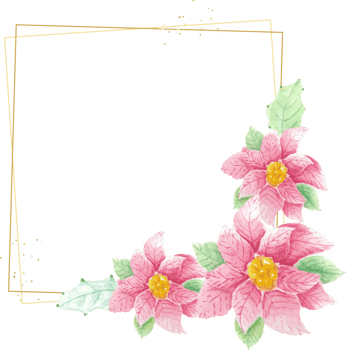 watercolor christmas poinsettia flower with golden frame png