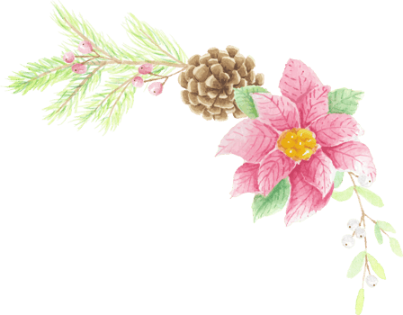 watercolor Christmas poinsettia flower bouquet png