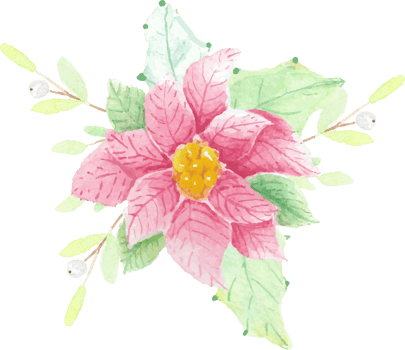 watercolor Christmas poinsettia flower bouquet png