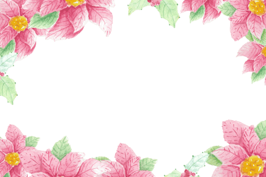watercolor christmas Poinsettia holly flower and leaf frame png
