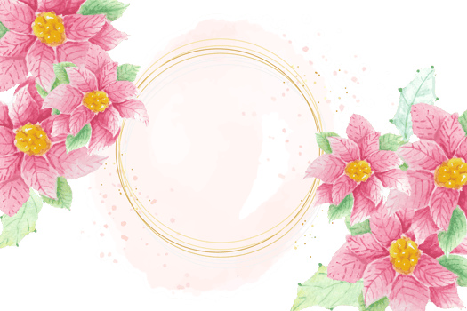 watercolor Christmas poinsettia flower bouquet with circle golden frame png