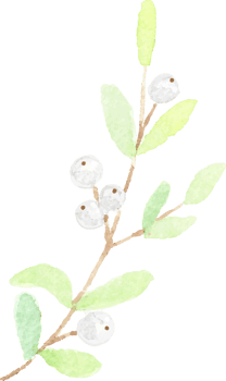 christmas snow berry branch wreath frame png
