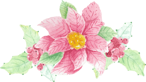 watercolor Christmas poinsettia flower bouquet png