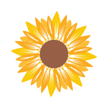 Beautiful and natural sunflower illustration vector