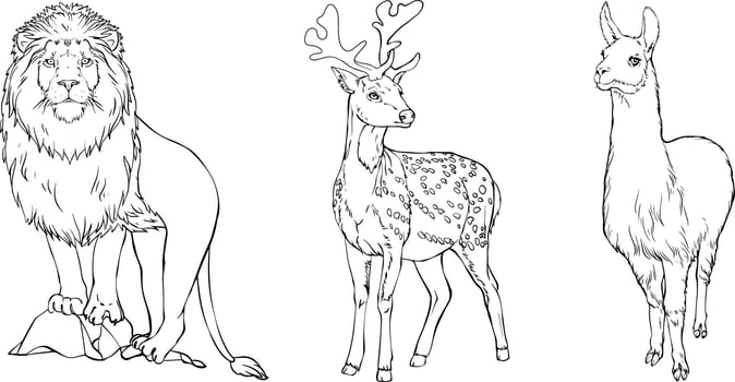 Set of wild animals. Lion, Lama, Deer. Black and white hand-drawn vector. For illustrations, coloring books and your design. vector