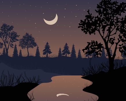 Night savannah landscape, natural African background vector illustration