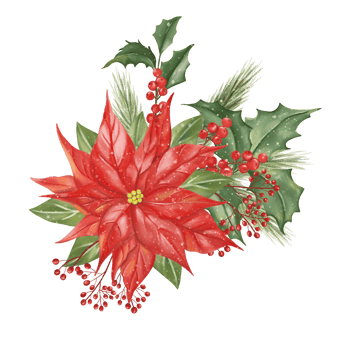 Big red Christmas flower, red berries and many kinds of winter green leaves have covered with a little bit white snow and snowflakes. Hand drawn watercolor image. png