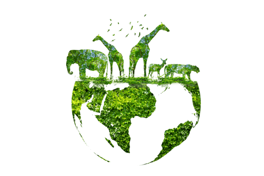 Wildlife shadows in a green globe Isolate on transparent background PNG file