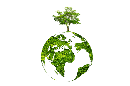 tree in the green globe Isolate on transparent background PNG file